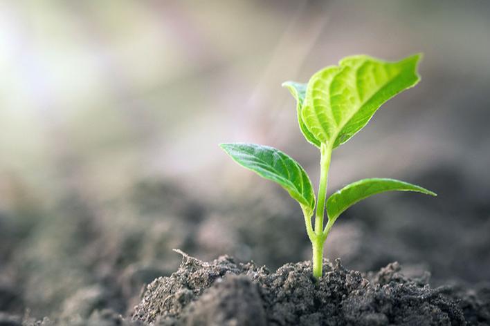 Trust and patience: the courage to rely on God’s timing – 27 July Trust and patience: the courage to rely on God’s timing – 27 July