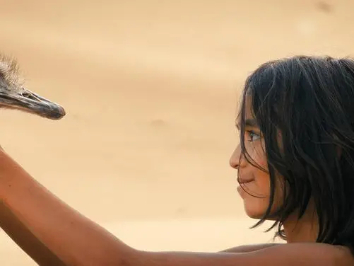 La storia di Hadara salvato dagli struzzI