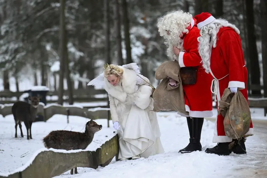 Persone vestite da Babbo Natale al parco zoologico DI Germendorf, a Oranienburg, in Germania
