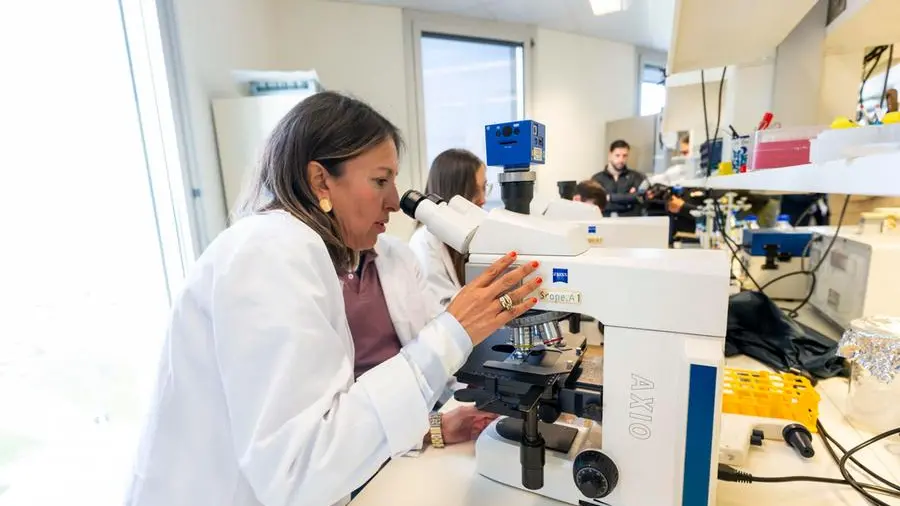 Malattie rare, la nuova frontiera passa dal “microbiota intestinale”