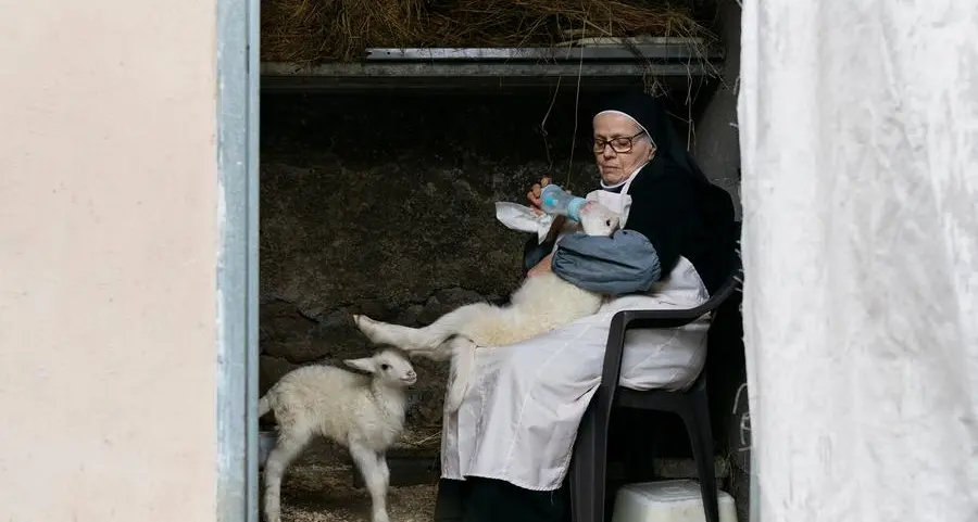 Il senso materno delle suore per gli agnellini del Papa nel documentario \"Agnus Dei\" nelle sale da oggi per l'anniversario della  morte di Bergoglio