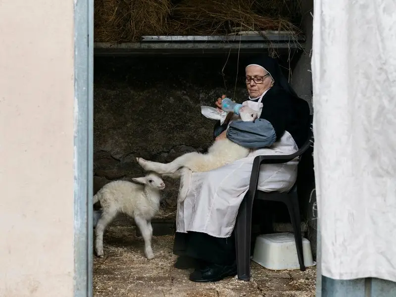 Il senso materno delle suore per gli agnellini del Papa nel documentario \"Agnus Dei\" nelle sale da oggi per l'anniversario della  morte di Bergoglio