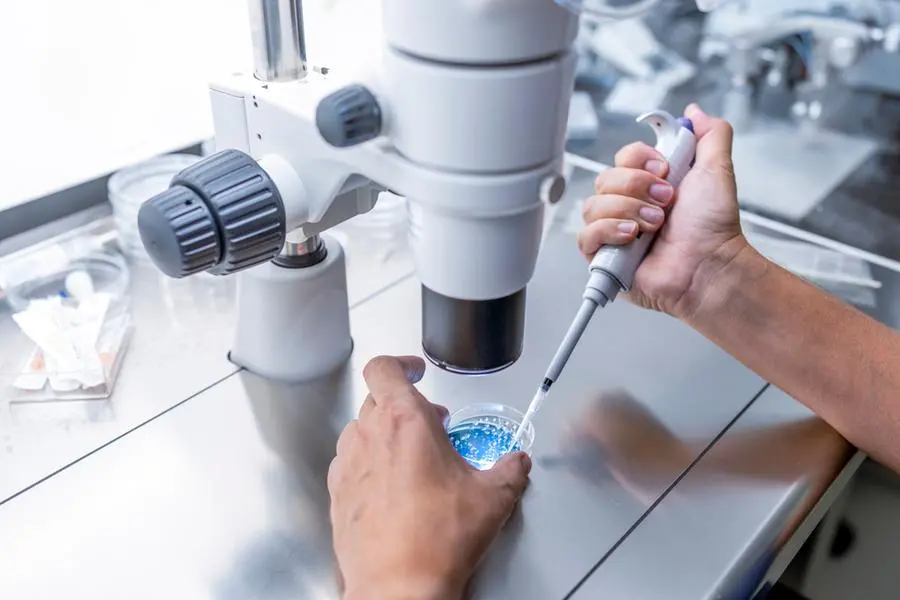 Un medico prepara le piastre per la coltura degli embrioni in un laboratorio di procreazione medicalmente assistita , Getty Images