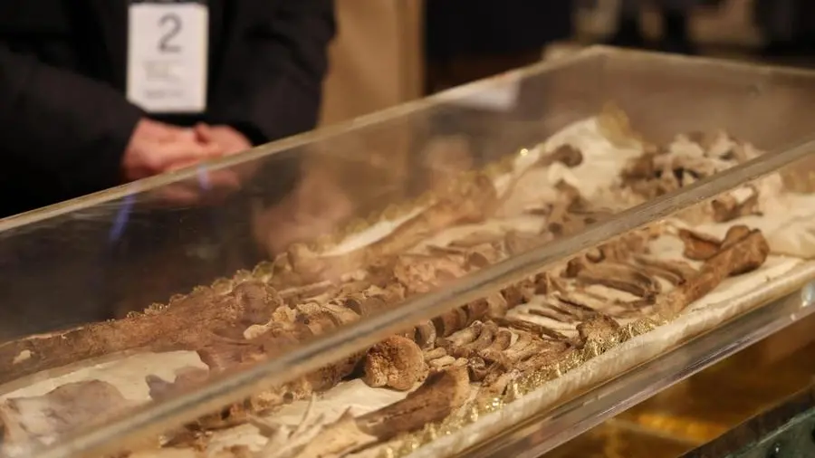 Le ossa di san Francesco e la santità senza maschere