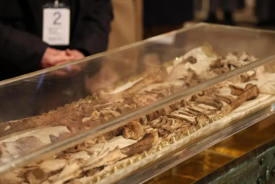 Il corpo di San Francesco di Assisi, esposto per la prima volta al pubblico nella sua storia, in una teca davanti all\\u2019altare della Basilica Inferiore di Assisi. , ANSA