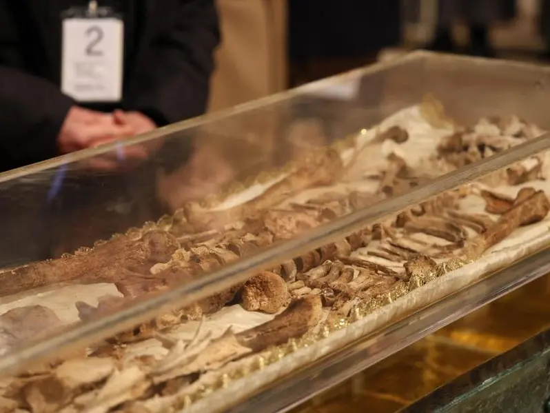 Le ossa di san Francesco e la santità senza maschere