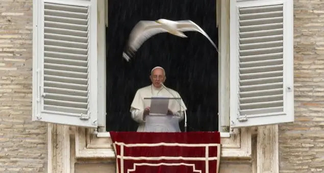 Francesco: appello per l'Ucraina
