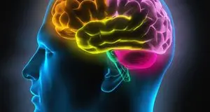 Essere cinici fa male al cervello