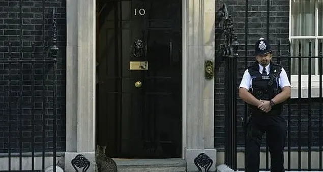 Tutti i segreti dello spoils system