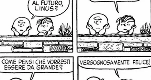 Ma diffidate dai manuali