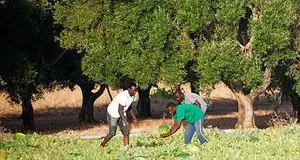 Il reato di clandestinità? Inutile e dannoso