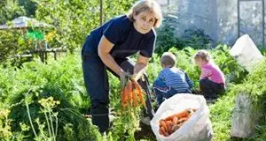 Quanto vale il volontariato dei nonni