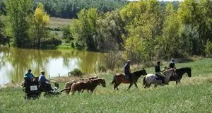 E ora, chiamateli pure “giovani guerrieri”