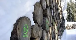 Se non la pianti... finisce!