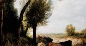 L'albero e il ruscello