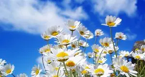 Quella luce di primavera che ci stanca