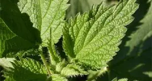 Avventure all'aria aperta