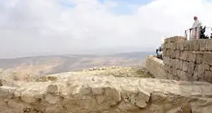 \"La Terra Santa chiede testimoni\"