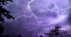 Pecore e alberi nel mirino dei fulmini