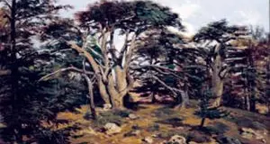 L'ulivo, il fico, la vite, il rovo