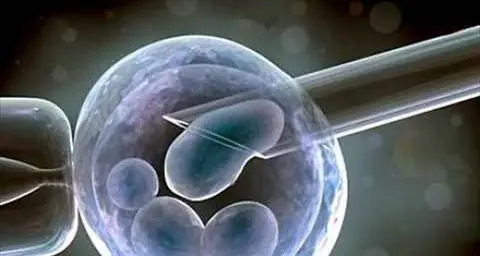 Scienza & Vita: «Significa cedere il nostro patrimonio genetico all’industria»