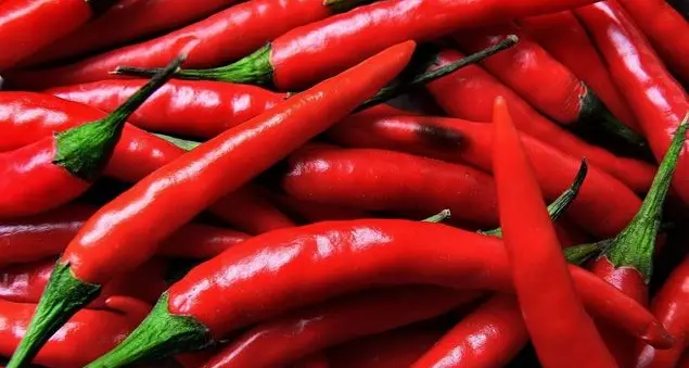 Rosso, piccante, anzi piccantissimo, elisir di lunga vita