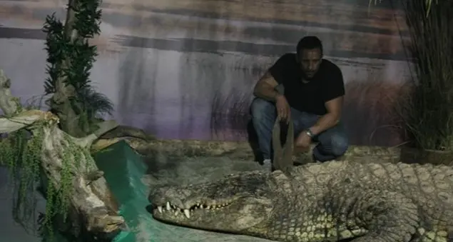 Accudire serpenti? Purché sia lavoro