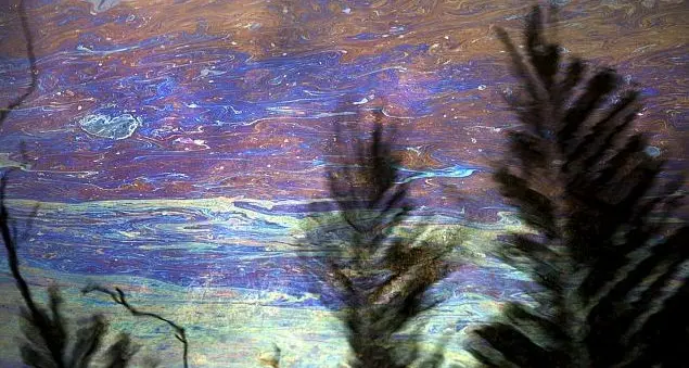 Gli altri casi di corruzione stanati da Re:Common