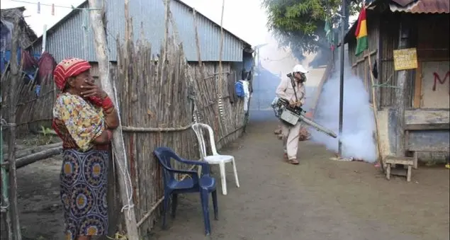 I vescovi del Brasile: non si ricorra all'aborto per il virus Zika