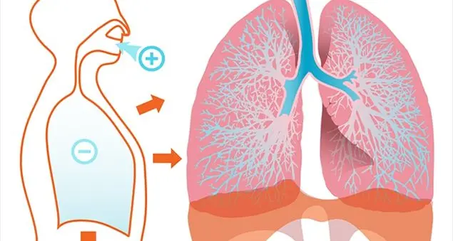 Disturbi al naso: i segnali critici che chiedono subito la vostra attenzione
