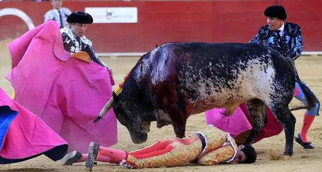 Ora basta con il sangue della corrida