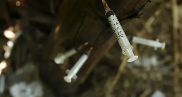 Se tra le foglie spuntano siringhe al posto dei funghi