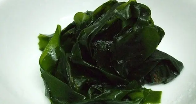 Cucinare le alghe: piatti leggeri e salutari