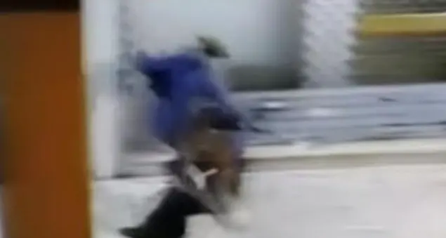 Crudeltà a Bologna: il salto del clochard in skateboard