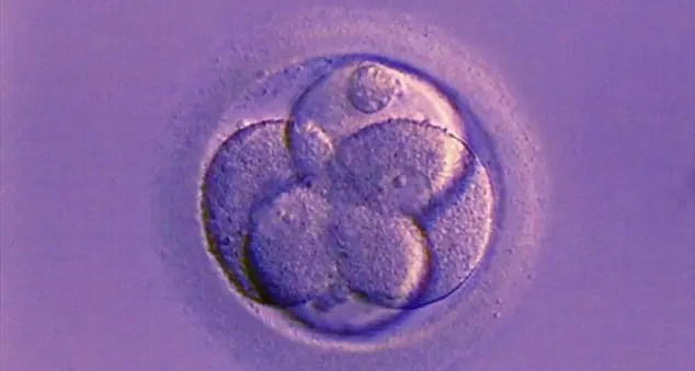 La globalizzazione dell'eterologa è solo un business