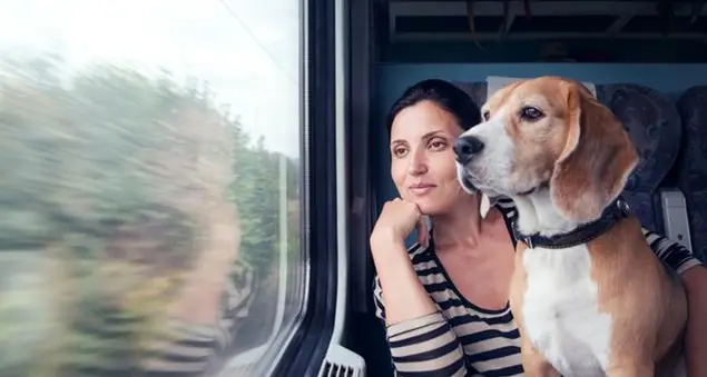 Con il pet in viaggio e in vacanza