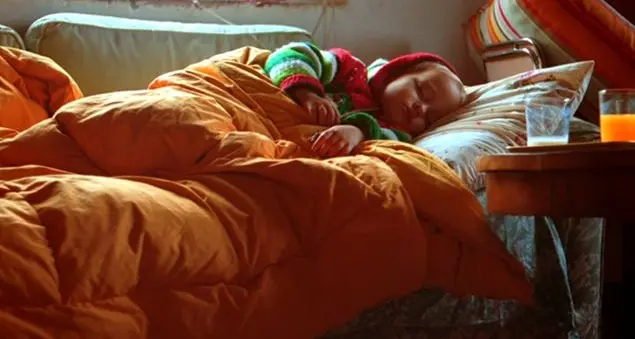 Influenza 2016: gli alimenti che proteggono