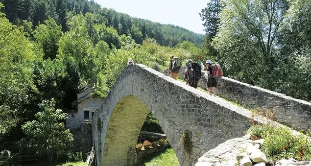 Sui passi di Francesco