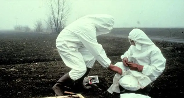 Accadde a Seveso, 40 anni fa
