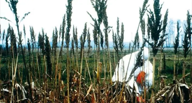 «La vita continua». La Chiesa che combattè la peste chimica