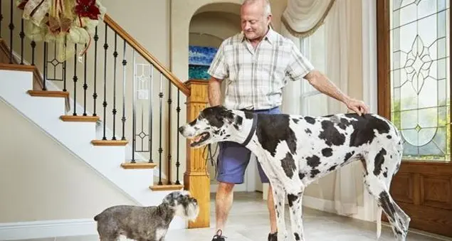 Sempre più pazzi questi record