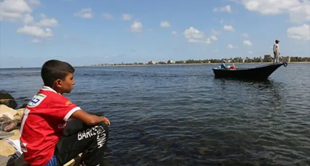 L’onorevole Sandra Zampa. «È in arrivo la legge che serve per proteggerli»