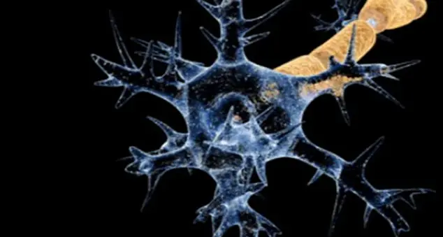 Paolo Lamperti: «Ho subito la paralisi, ma nel dolore ho scorto il paradiso»