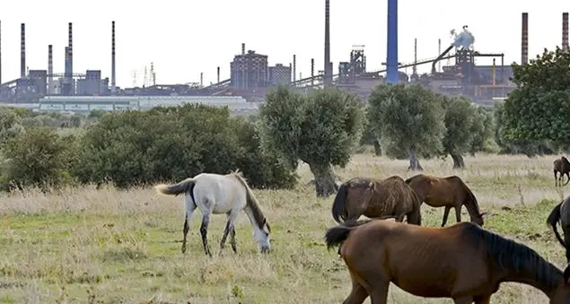 Taranto. Salute e ambiente, patrimonio da salvare