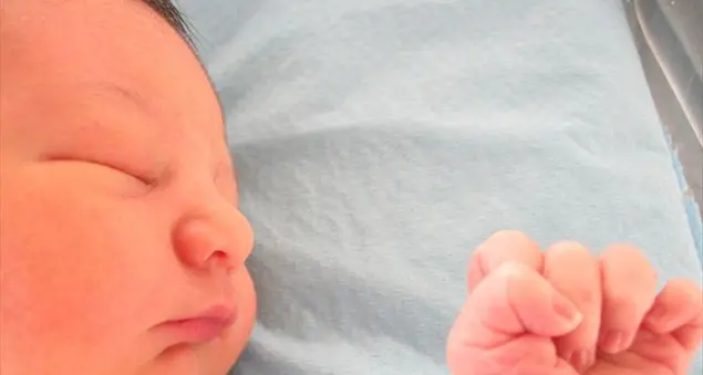 Il concepito è un essere umano? Per l'Europa no