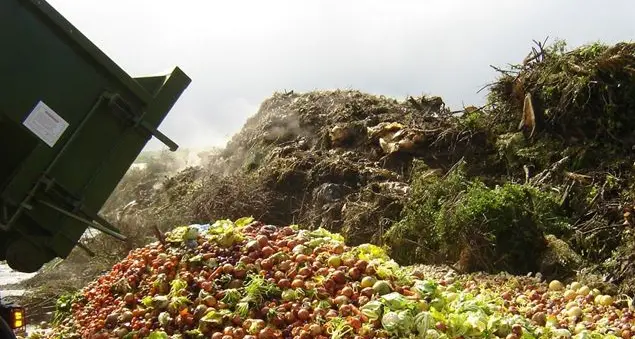 Il cibo che buttiamo basterebbe a sfamare 800 milioni di denutriti