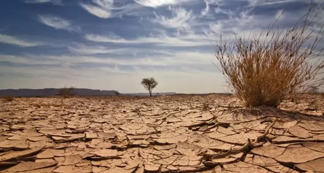 2016, l'anno più caldo di sempre