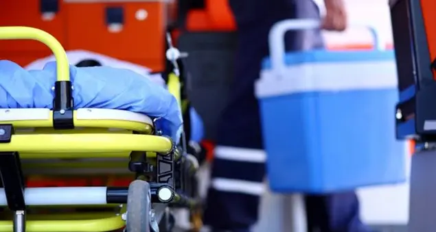 Donazioni di organi, in Italia è record