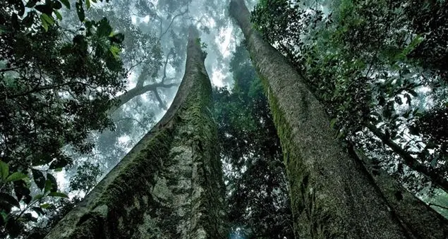 Viaggio nell'ultimo angolo inesplorato del mondo