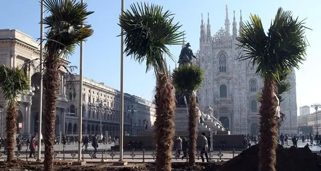 Palme in Duomo: se si cerca un po' d'Africa a Milano...